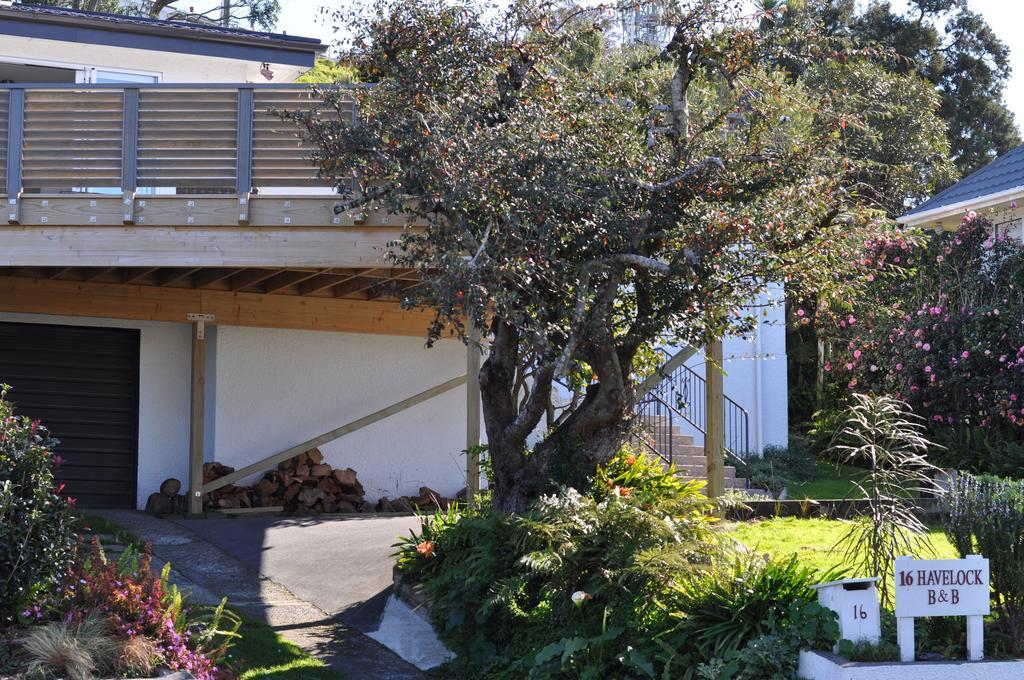 Bed and Breakfast 16 Havelock New Plymouth Exterior foto