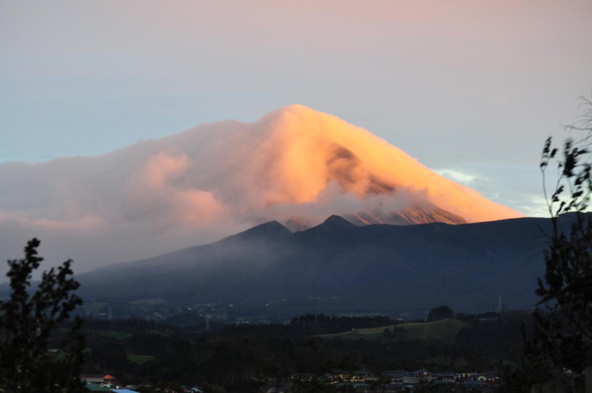 Bed and Breakfast 16 Havelock New Plymouth Exterior foto