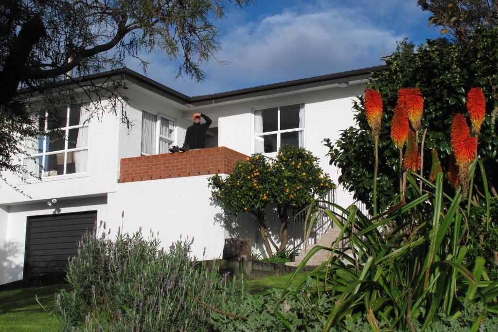 Bed and Breakfast 16 Havelock New Plymouth Exterior foto