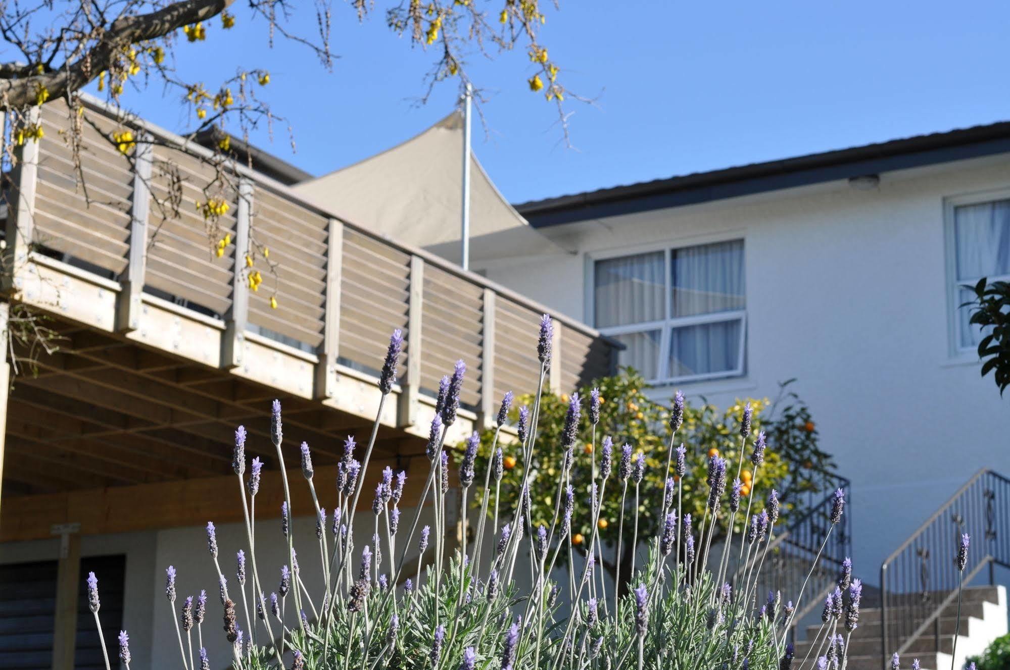 Bed and Breakfast 16 Havelock New Plymouth Exterior foto